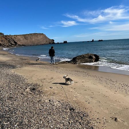 34300 Le Cap D'Agde Daire Dış mekan fotoğraf