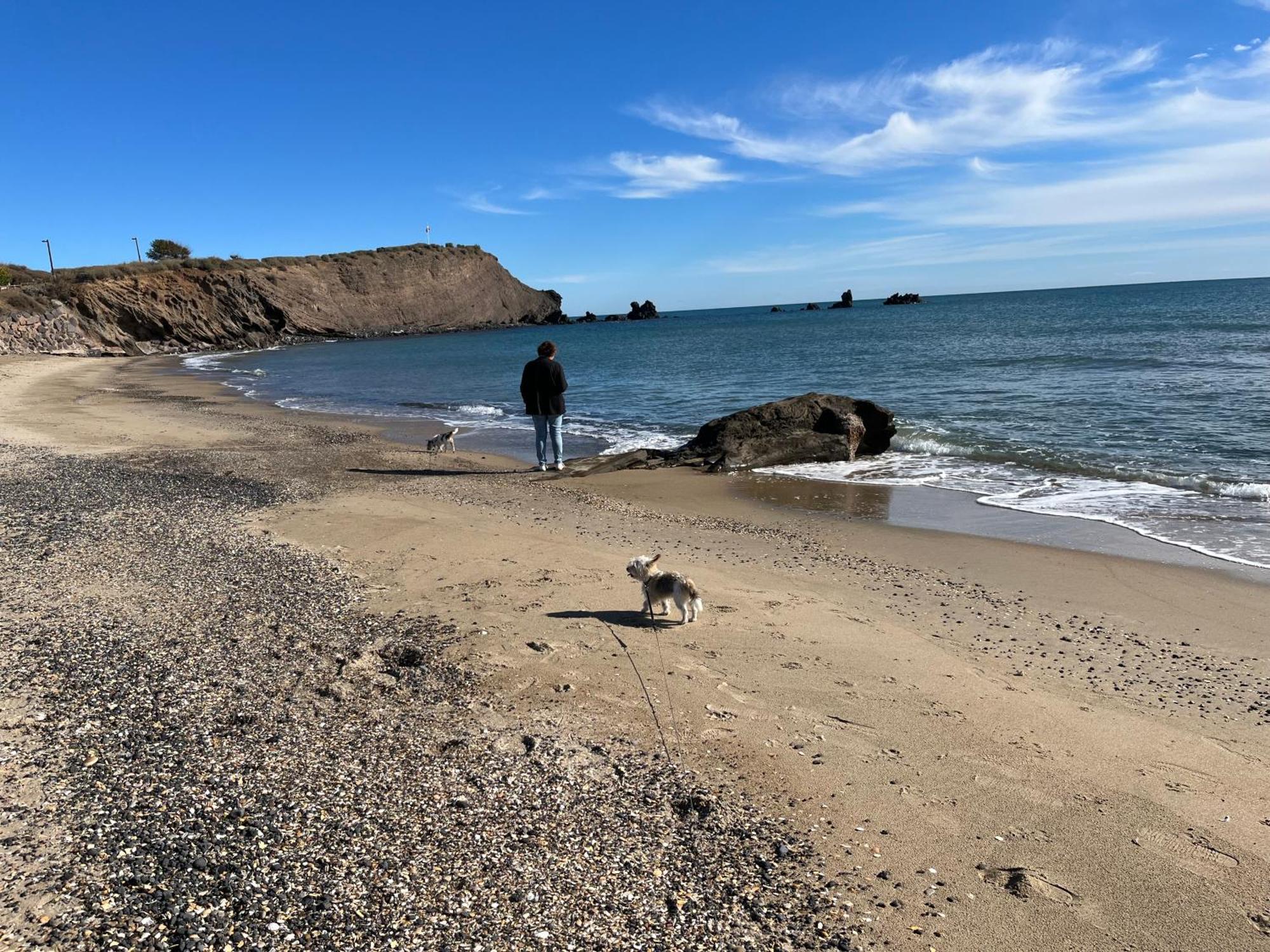 34300 Le Cap D'Agde Daire Dış mekan fotoğraf